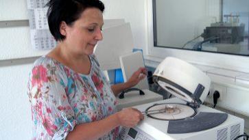 bild8